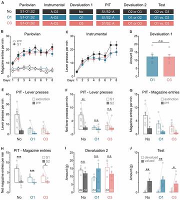 Sensory-Specific Satiety Dissociates General and Specific Pavlovian-Instrumental Transfer